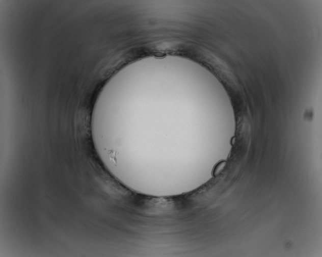 X0000101410421200807281030