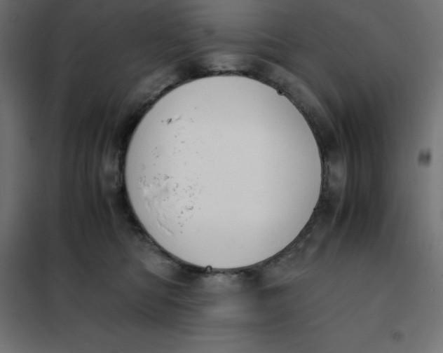 X0000101410422200807281030