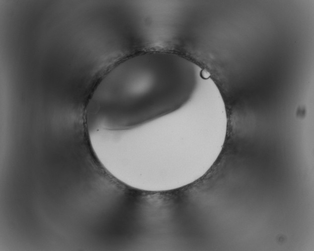 X0000101410423200807281030