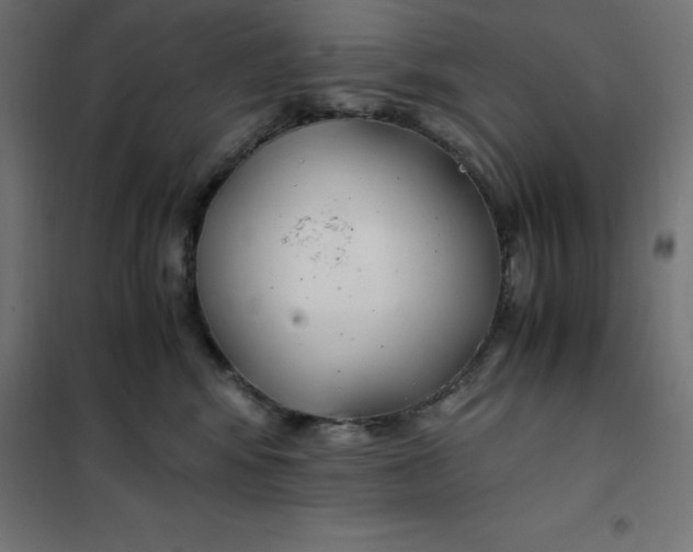 X0000101410424200807281030