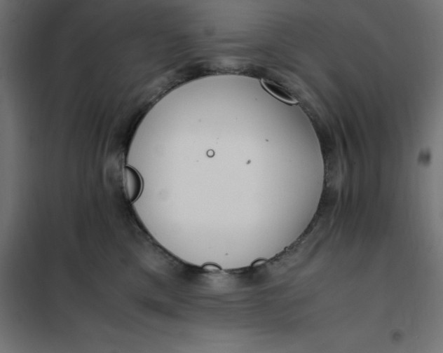 X0000101410425200807281030