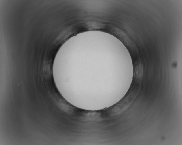 X0000101410426200807281030