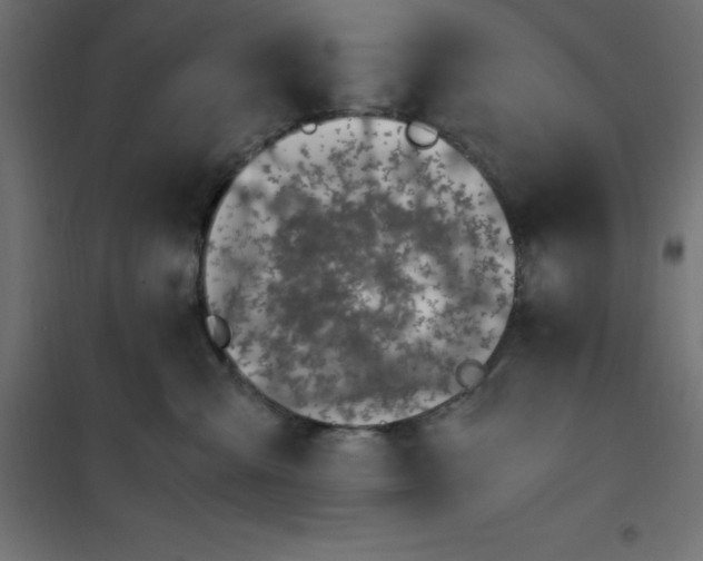 X0000101410427200807281029