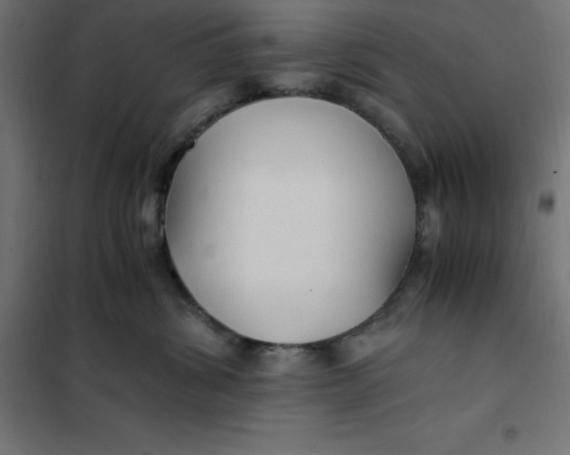 X0000101410428200807281029