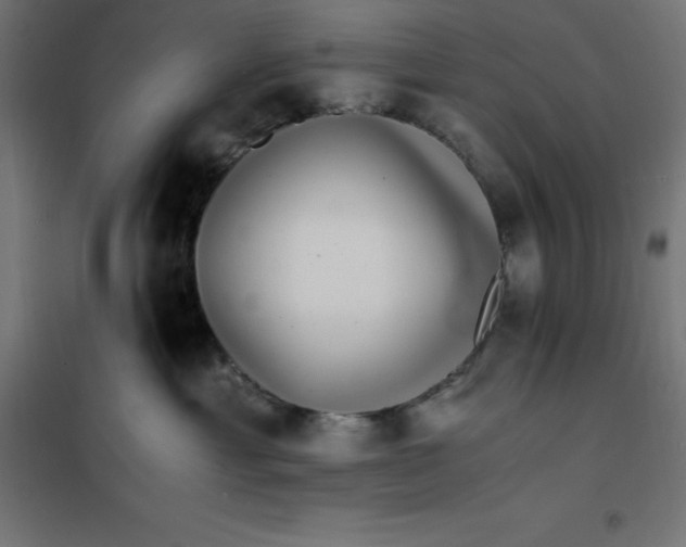 X0000101410429200807281029