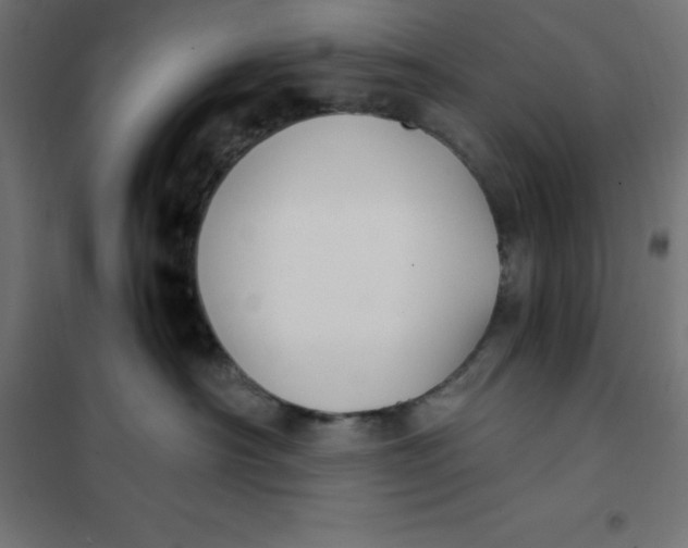 X0000101410430200807281029