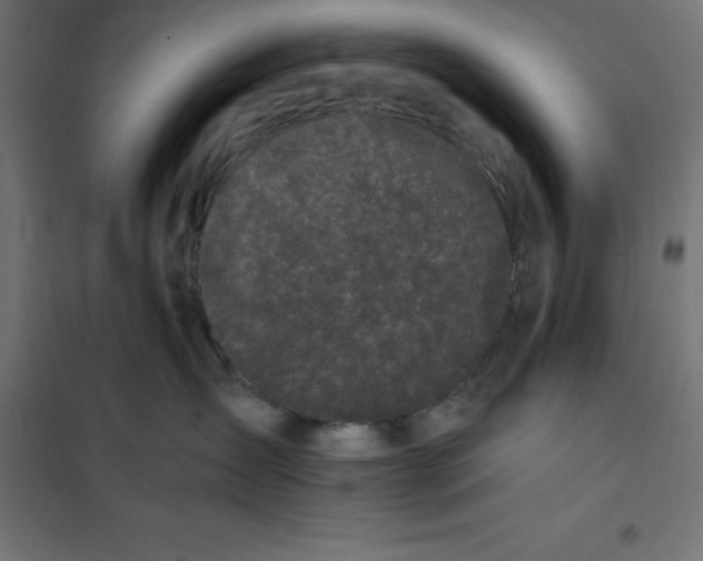 X0000101410431200807281029