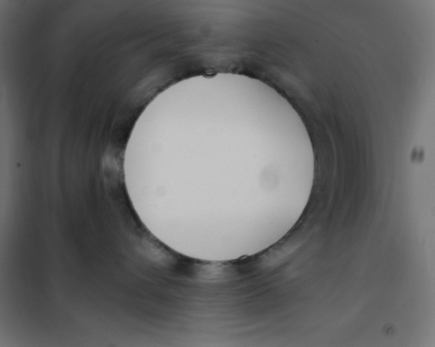 X0000101410432200807281029