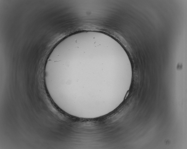 X0000101410433200807281029