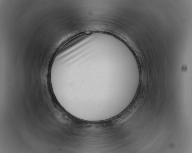 X0000101410434200807281029