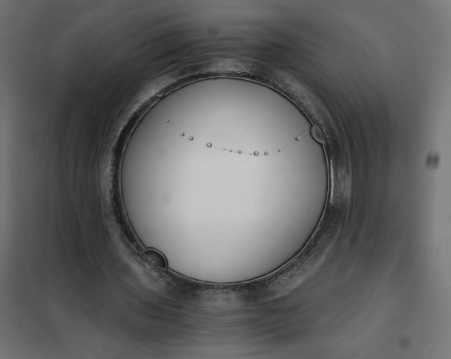 X0000101410435200807281029