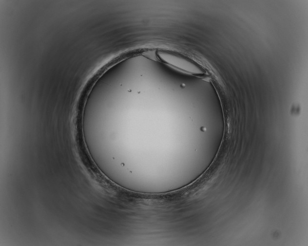 X0000101410436200807281029