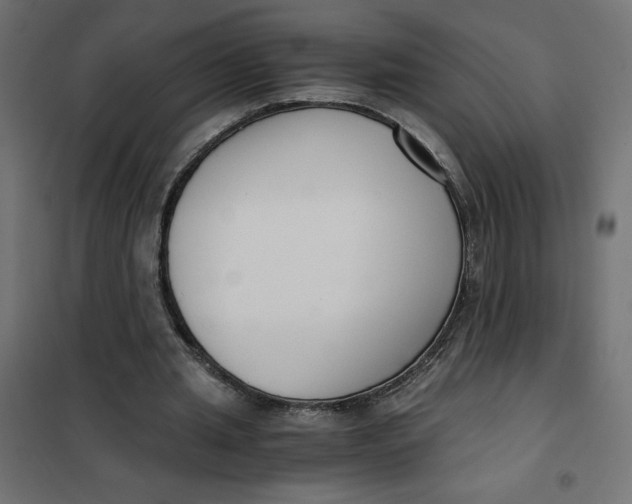X0000101410437200807281029