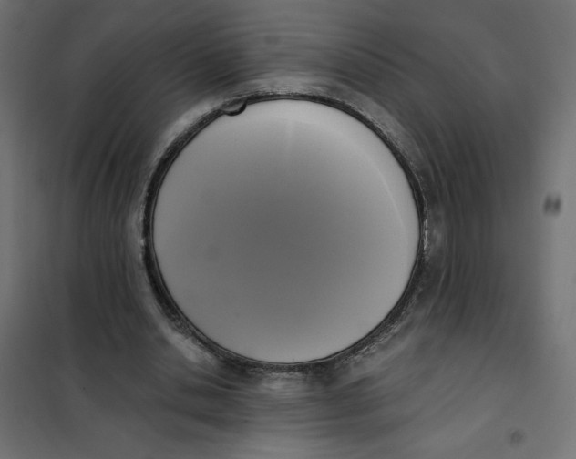 X0000101410438200807281029