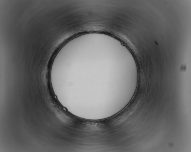 X0000101410439200807281029