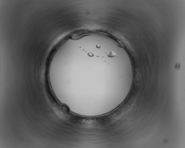 X0000101410440200807281029