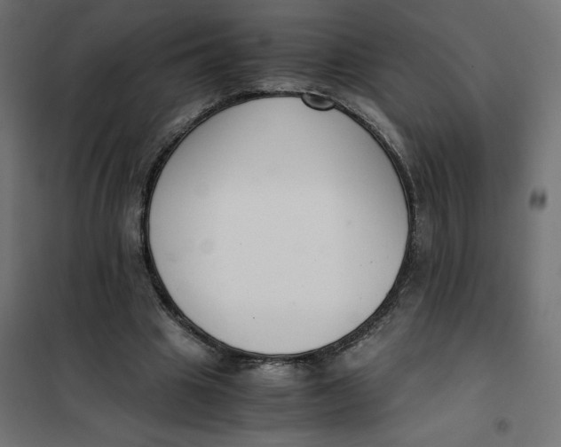 X0000101410441200807281029
