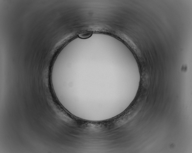X0000101410442200807281029