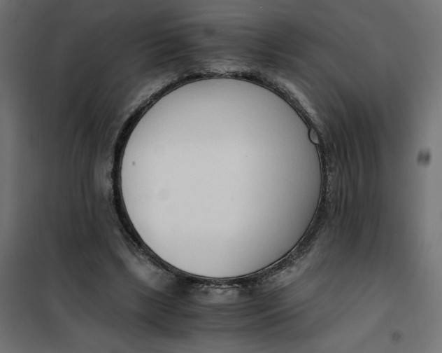X0000101410443200807281029