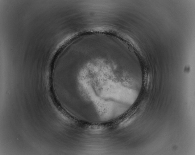 X0000101410444200807281029