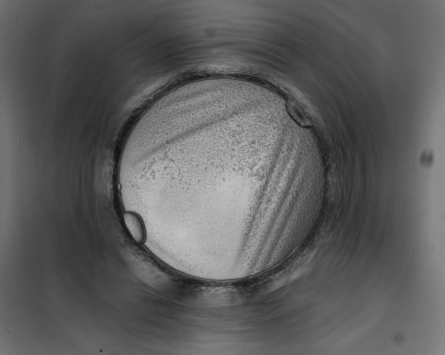 X0000101410446200807281029