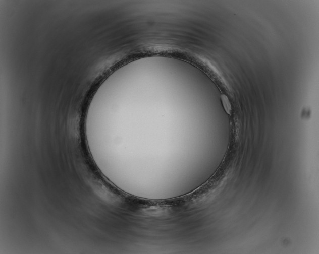 X0000101410447200807281029