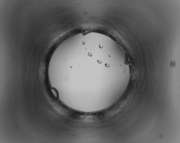 X0000101410448200807281029