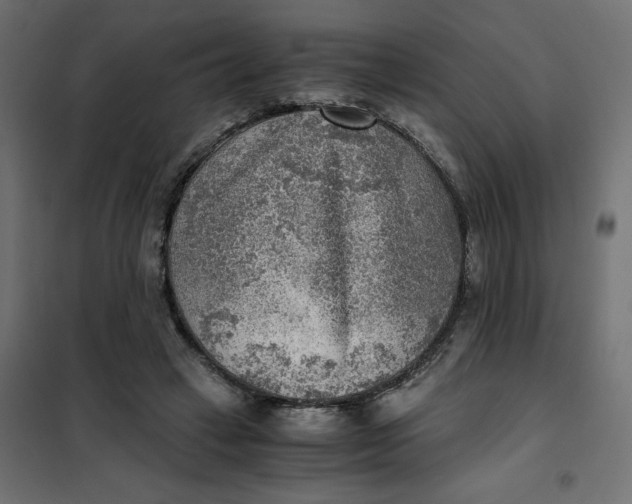X0000101410449200807281029