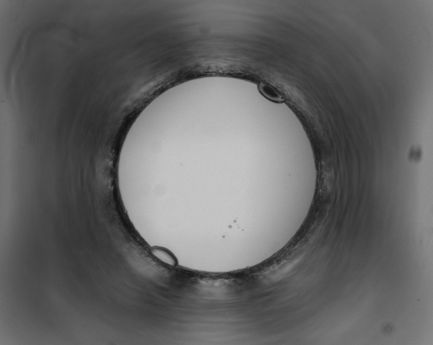 X0000101410450200807281029