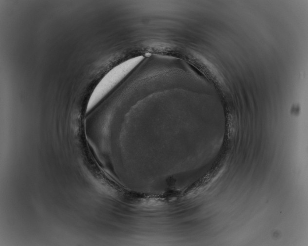X0000101410451200807281029