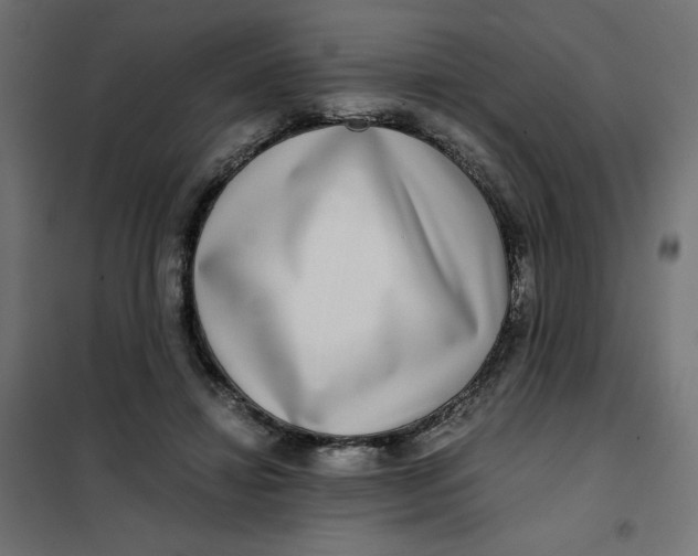X0000101410452200807281029