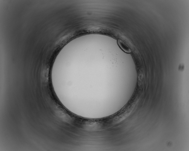 X0000101410454200807281029