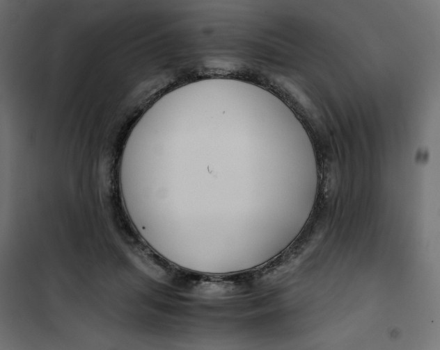 X0000101410455200807281029