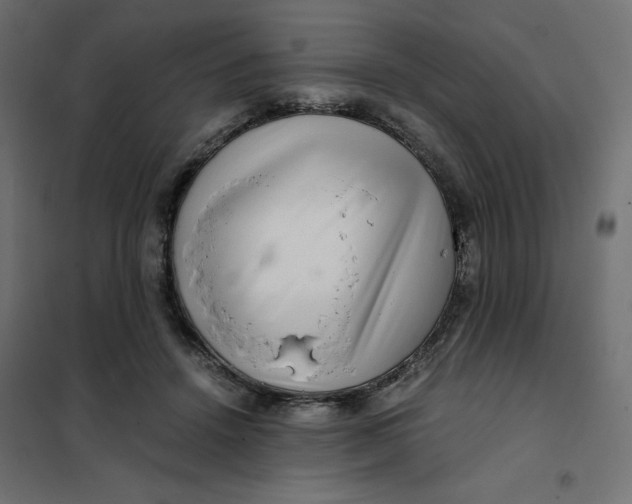 X0000101410456200807281029