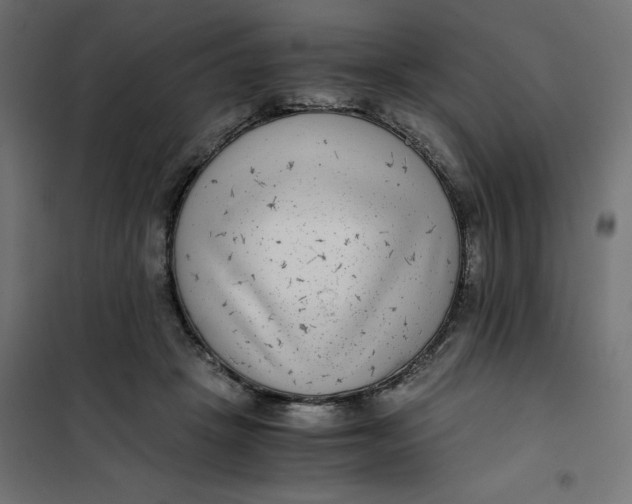 X0000101410457200807281029