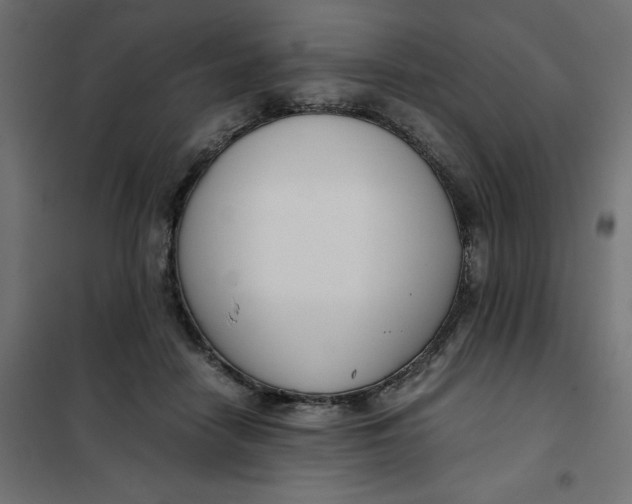X0000101410458200807281029