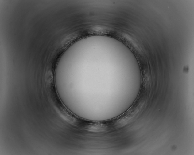 X0000101410459200807281029