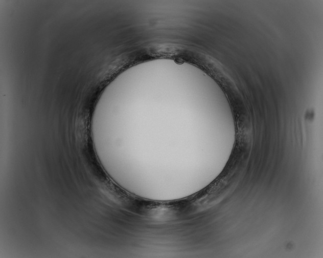 X0000101410460200807281029