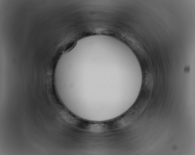 X0000101410461200807281029