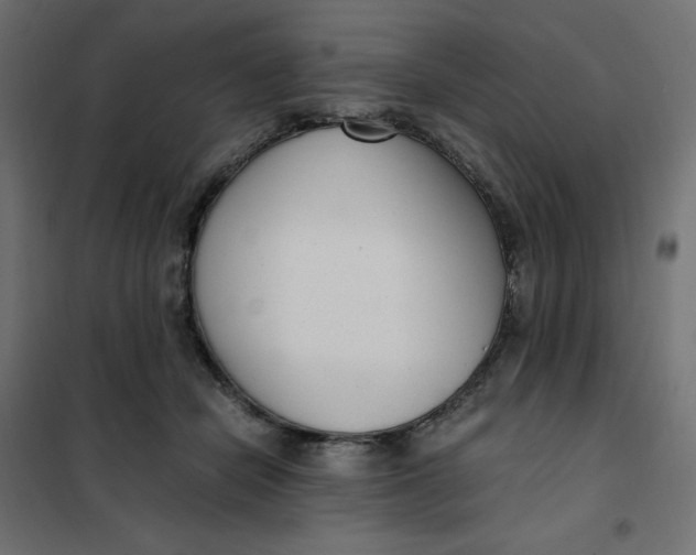 X0000101410462200807281029