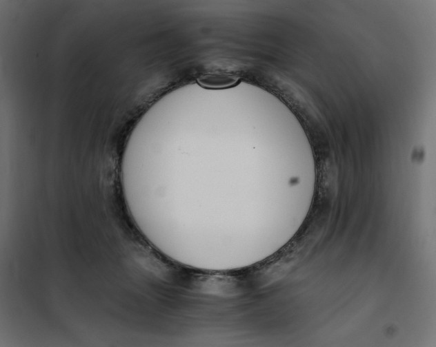 X0000101410463200807281029