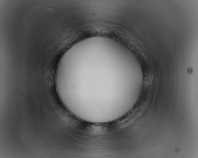 X0000101410464200807281029