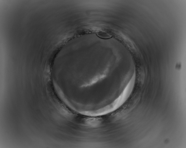 X0000101410465200807281029