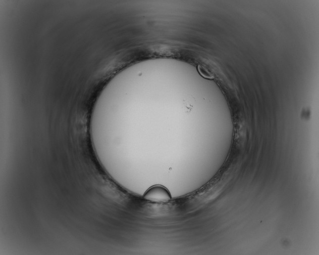 X0000101410466200807281029