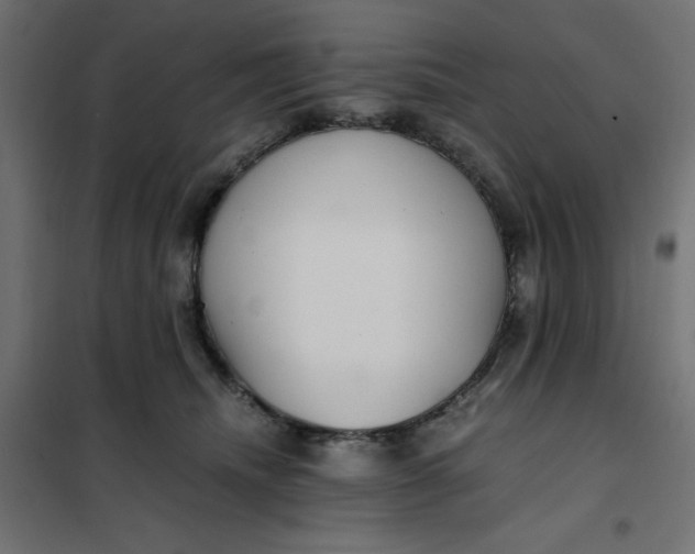 X0000101410468200807281029