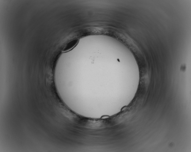 X0000101410469200807281029