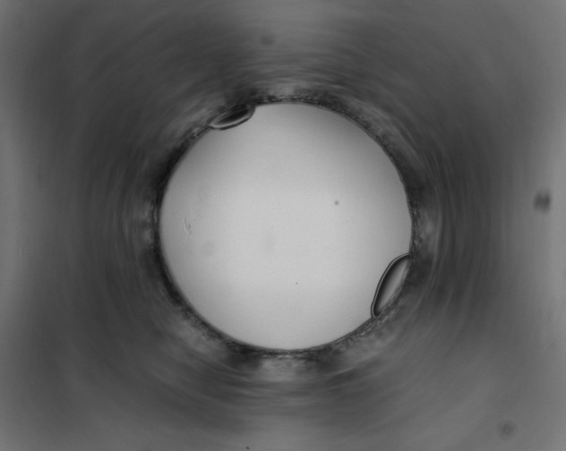 X0000101410470200807281029