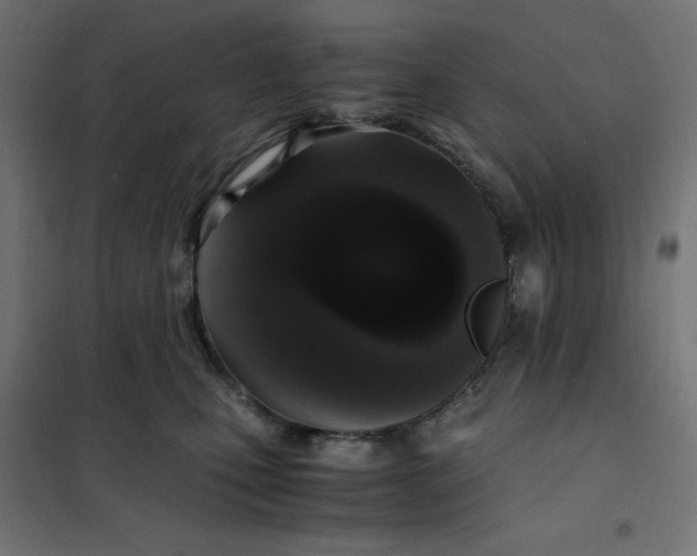 X0000101410471200807281029