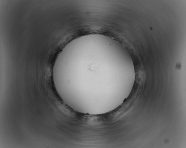 X0000101410472200807281029