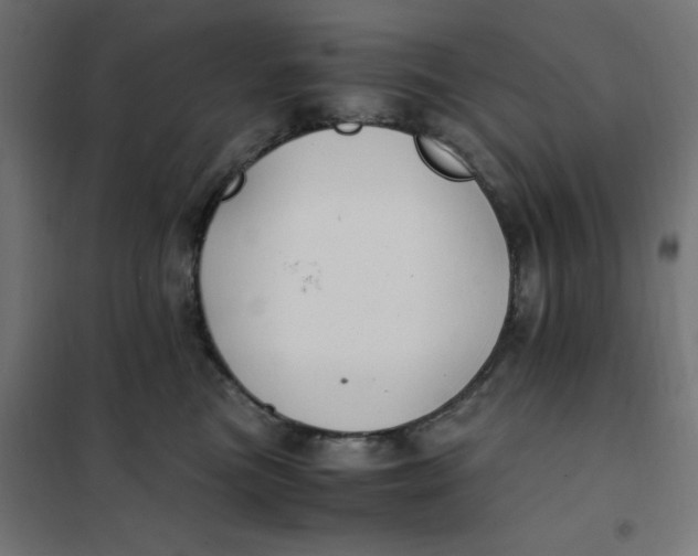X0000101410473200807281029